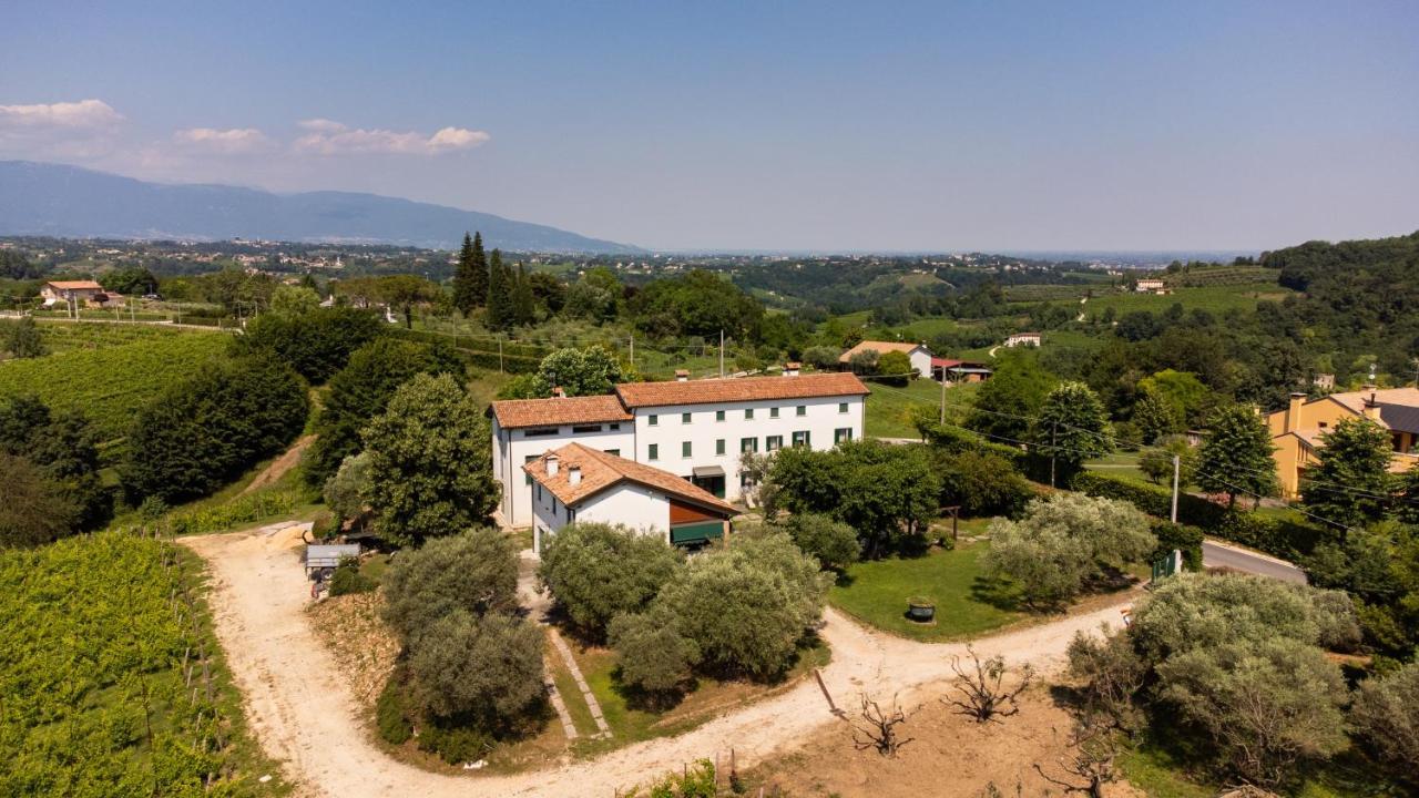 Gatto In Vigna Villa Susegana Exterior foto